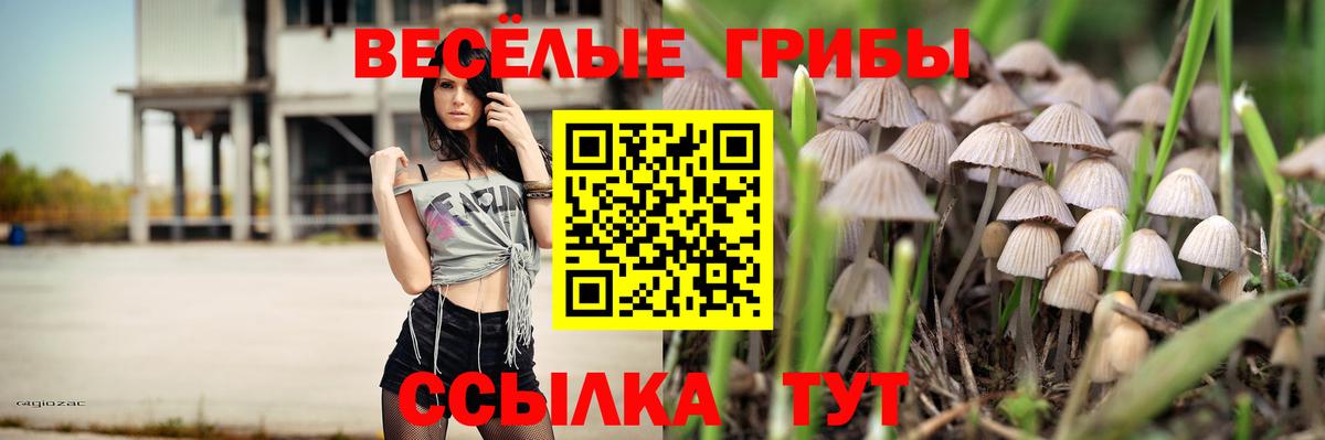 Томск  Псилоцибиновые грибы MAGIC MUSHROOMS  Вход с VPN 